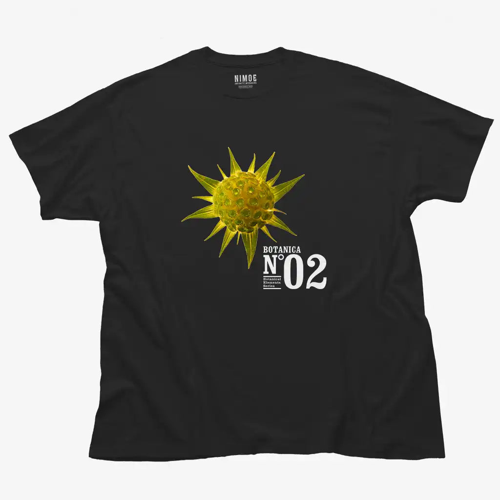 Botanica N.02 unisex classic t-shirt in black color displaying spiny golden star (pallenis spinosa), flower.