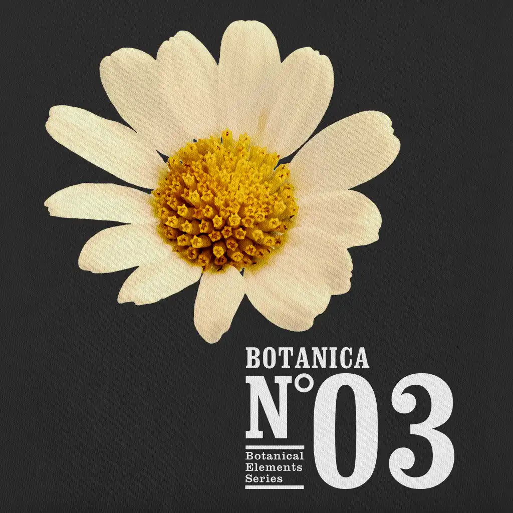 Design of Botanica N.03 displaying chamomile (matricaria chamomilla), flower.