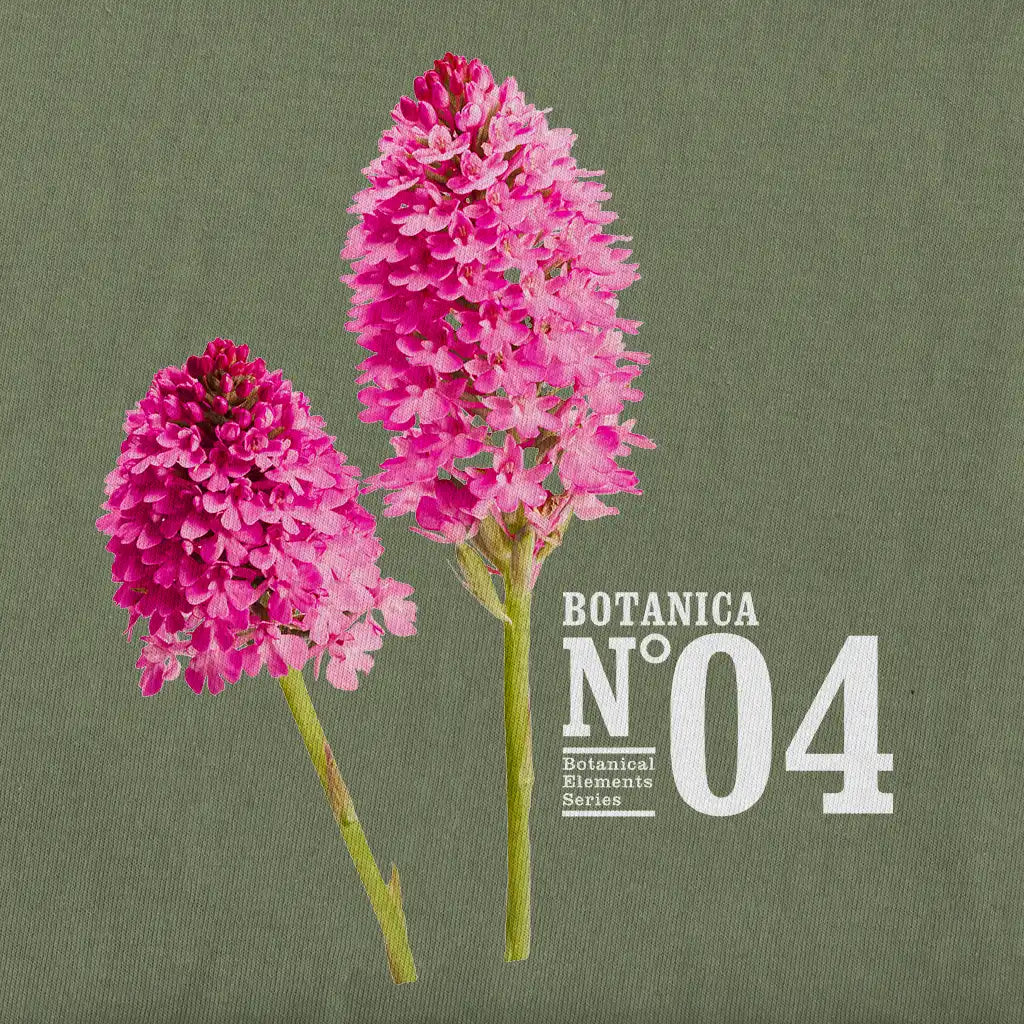 Design of Botanica N.04 displaying wild orchid (anacamptis pyramidalis), flower.