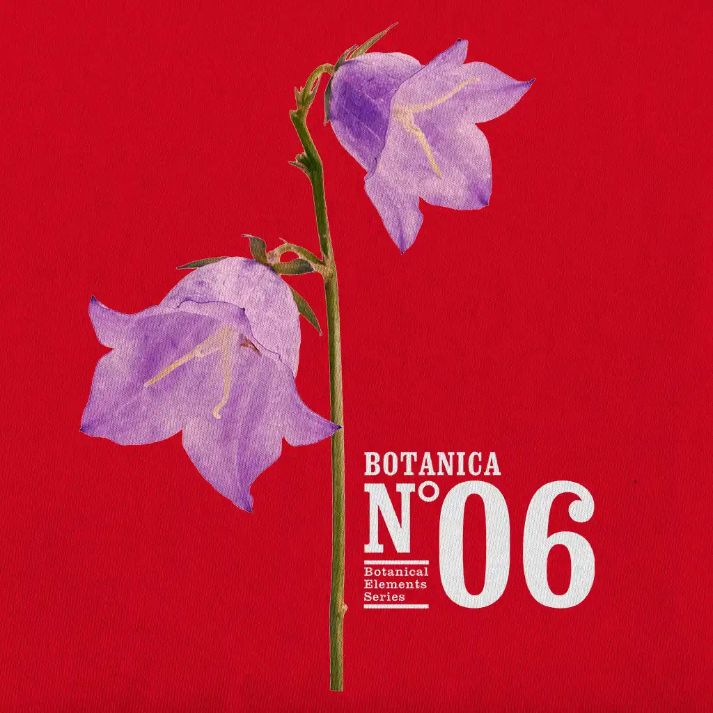 Design of Botanica N.06 displaying bellflowers (campanula), flower.